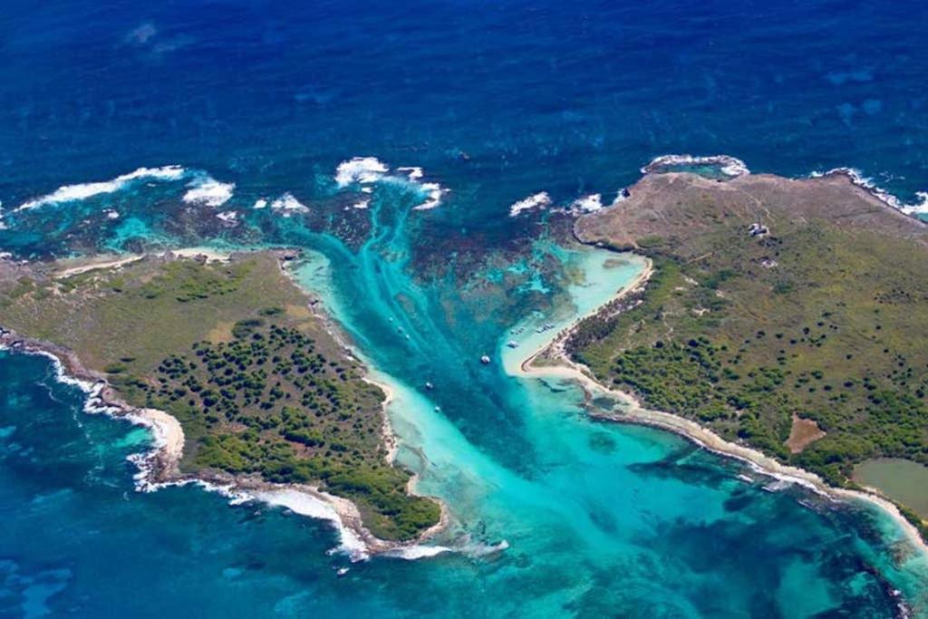 Studio Avec Grande Piscine, Plage Cannelle Caraibes サン・フランソワ エクステリア 写真